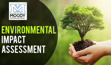 Environmental Impact Assessment (EIA)